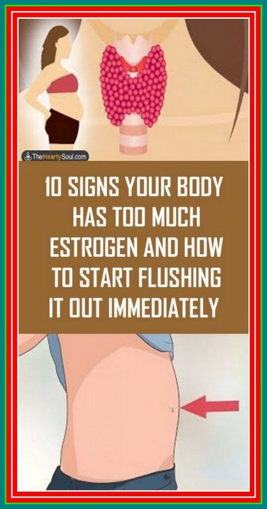 10 Signs Your Body Has Too Much Estrogen And How To Start Flushing it Out Immediately